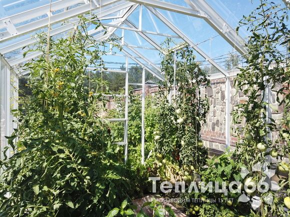 Индивидуальная теплица Ботаник в белом цвете!