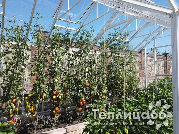 Индивидуальная теплица Ботаник в белом цвете!