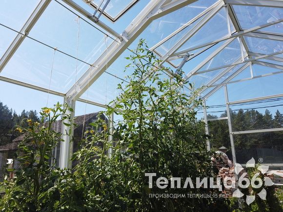 Индивидуальная теплица Ботаник в белом цвете!