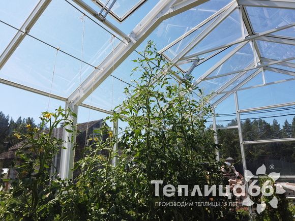 Индивидуальная теплица Ботаник в белом цвете!