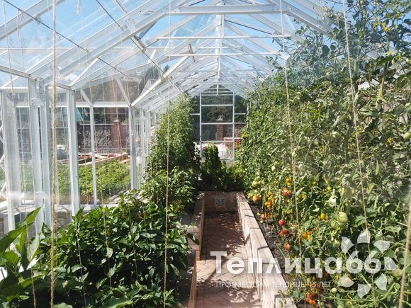 Индивидуальная теплица Ботаник в белом цвете!